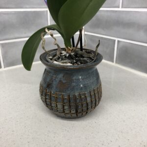Plant Pot