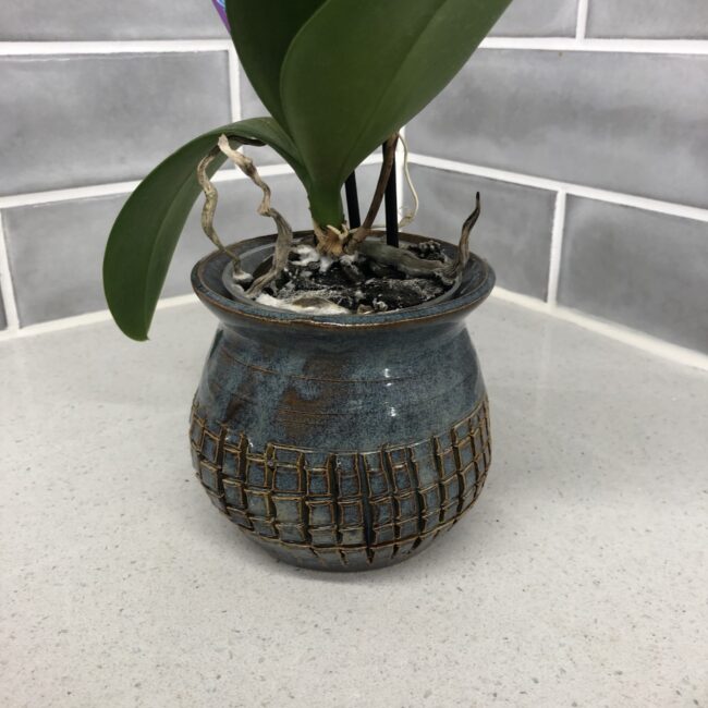Plant Pot
