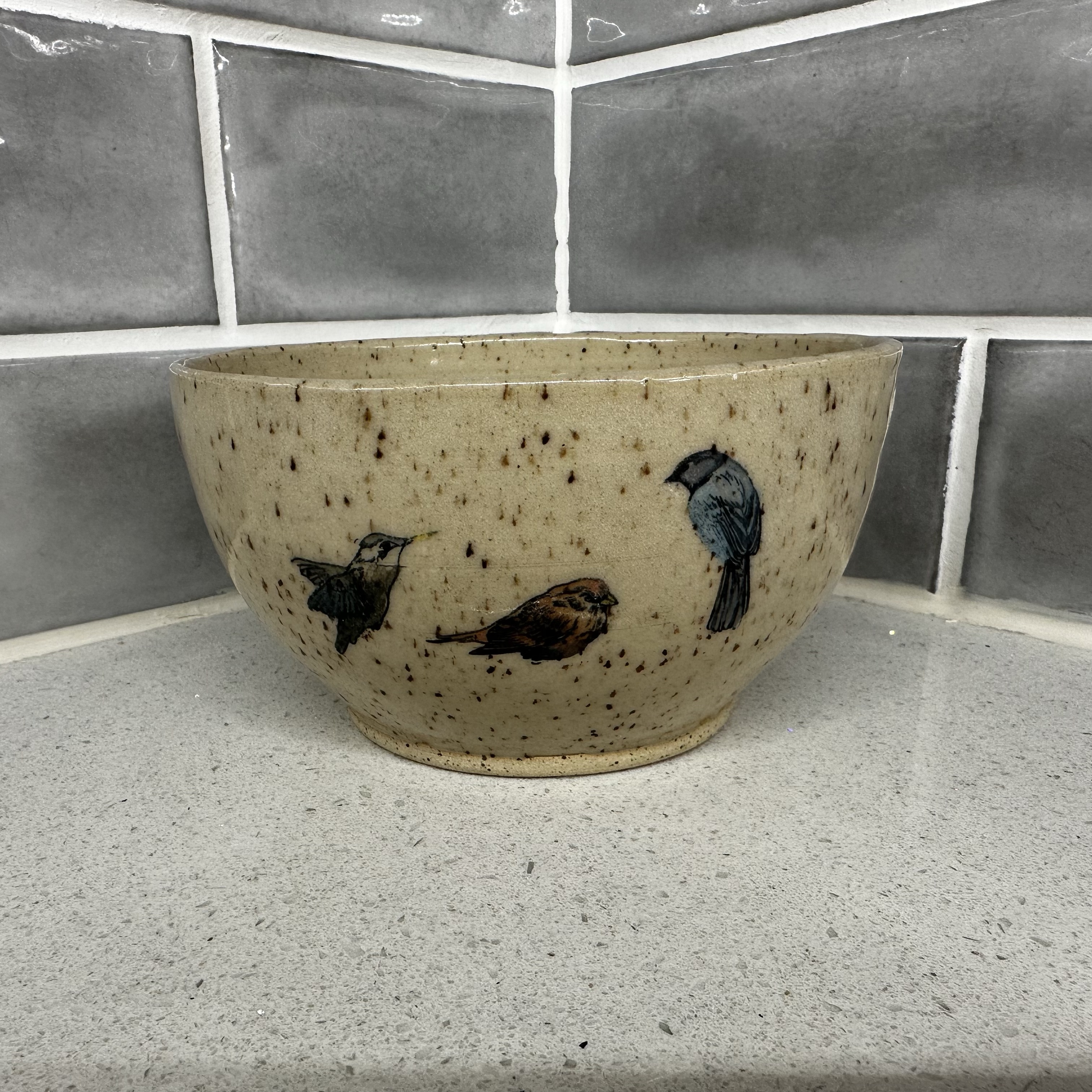 Bird Bowl